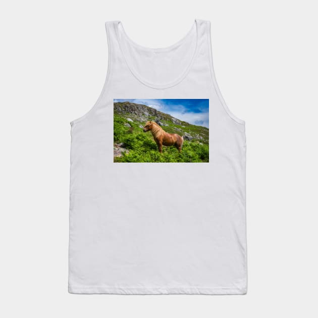 Welsh Mountain Pony Tank Top by Adrian Evans Photography